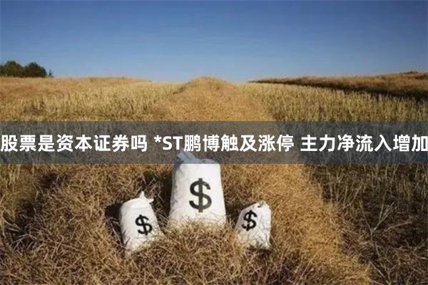 股票是资本证券吗 *ST鹏博触及涨停 主力净流入增加