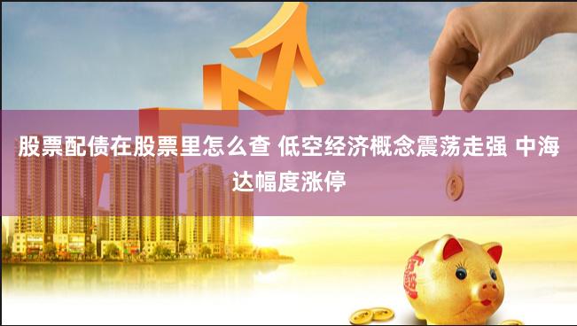 股票配债在股票里怎么查 低空经济概念震荡走强 中海达幅度涨停