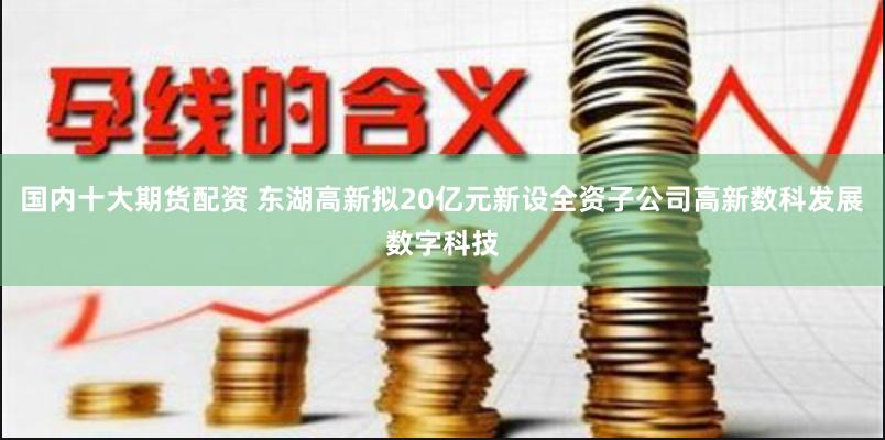 国内十大期货配资 东湖高新拟20亿元新设全资子公司高新数科发展数字科技
