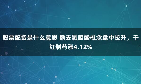 股票配资是什么意思 熊去氧胆酸概念盘中拉升，千红制药涨4.12%